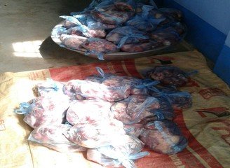 Islam Freedom Qurbani