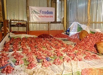 Islam Freedom Qurbani
