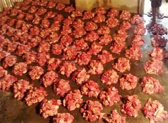 Islam Freedom Qurbani 2016