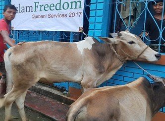 Islam Freedom Qurbani