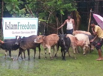 Islam Freedom Qurbani 2017