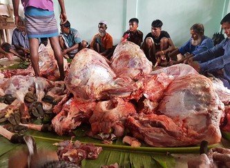 Islam Freedom Qurbani