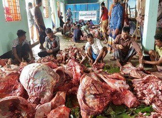 Islam Freedom Qurbani