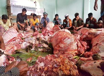 Islam Freedom Qurbani