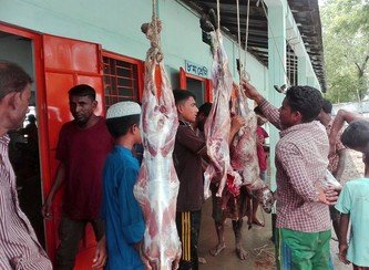 Islam Freedom Qurbani