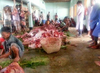 Islam Freedom Qurbani