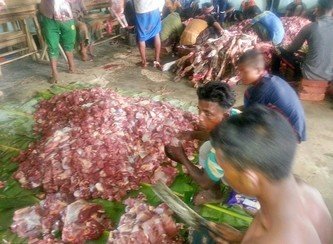 Islam Freedom Qurbani 2017