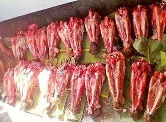 Islam Freedom Qurbani 2017