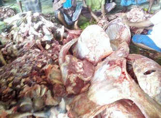 Islam Freedom Qurbani 2017