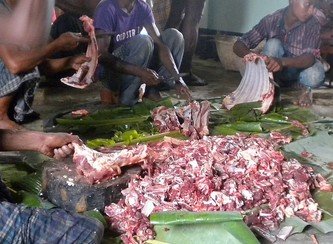 Islam Freedom Qurbani