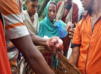 Islam Freedom Qurbani 2017