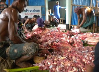Islam Freedom Qurbani