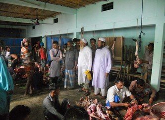 Islam Freedom Qurbani