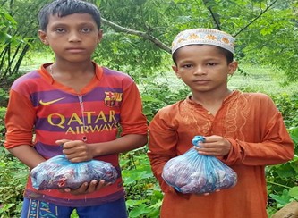 Islam Freedom Qurbani