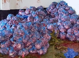 Islam Freedom Qurbani 2017