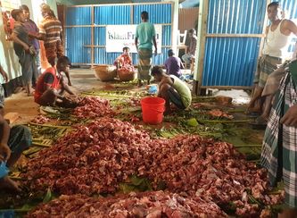 Islam Freedom Qurbani