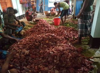 Islam Freedom Qurbani 2017