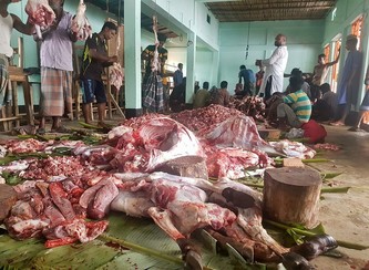 Islam Freedom Qurbani