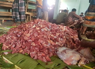 Islam Freedom Qurbani