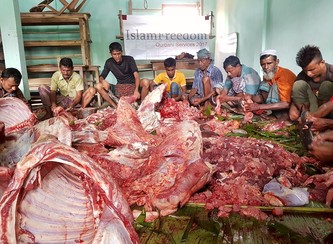 Islam Freedom Qurbani
